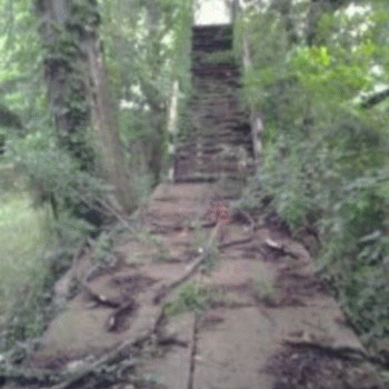 Sloth (USA-2) : I'm Kinda Scared Though